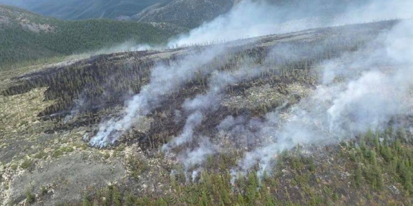 Пять лесных пожаров действует в Якутии