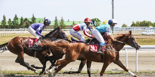 В Якутске впервые состоится смотр верховой езды, приуроченный к столетию республики