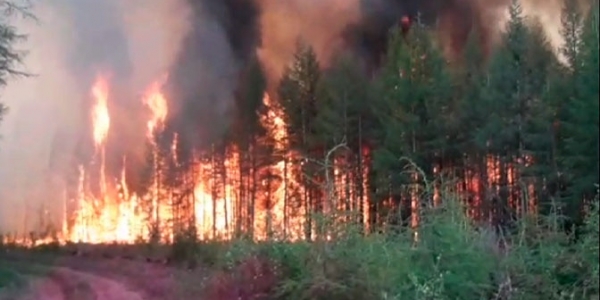 В Якутии действует 10 лесных пожаров