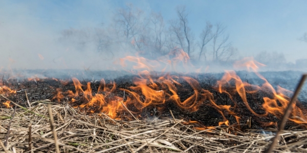 В Якутии действует 11 лесных пожаров