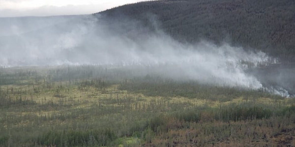 Лесной пожар в Олекминском районе локализован